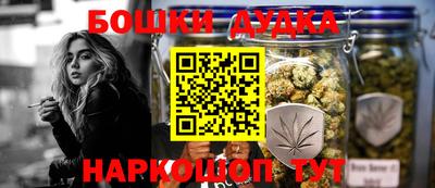 гидра Новозыбков