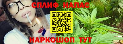 гидра Новозыбков