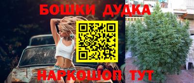 гидра Новозыбков
