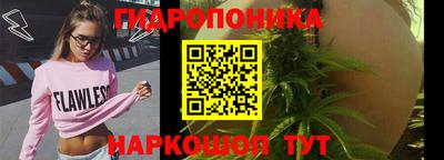 гидра Новозыбков