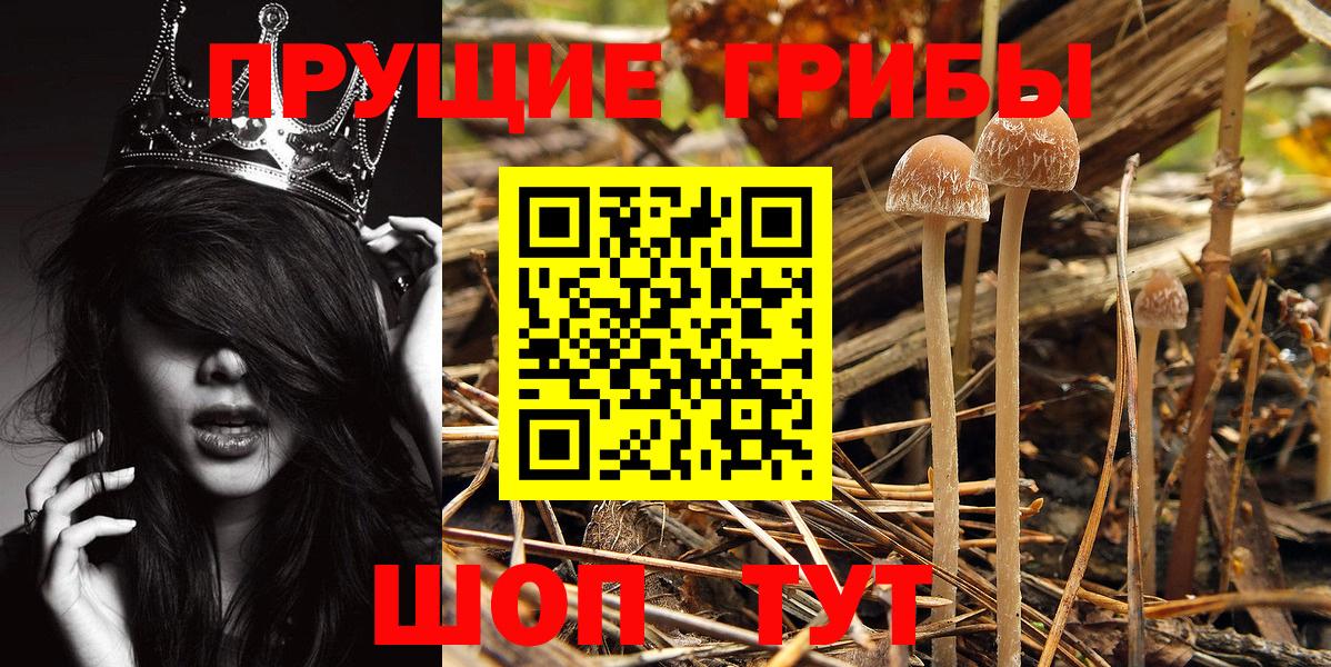Псилоцибиновые грибы MAGIC MUSHROOMS Томск