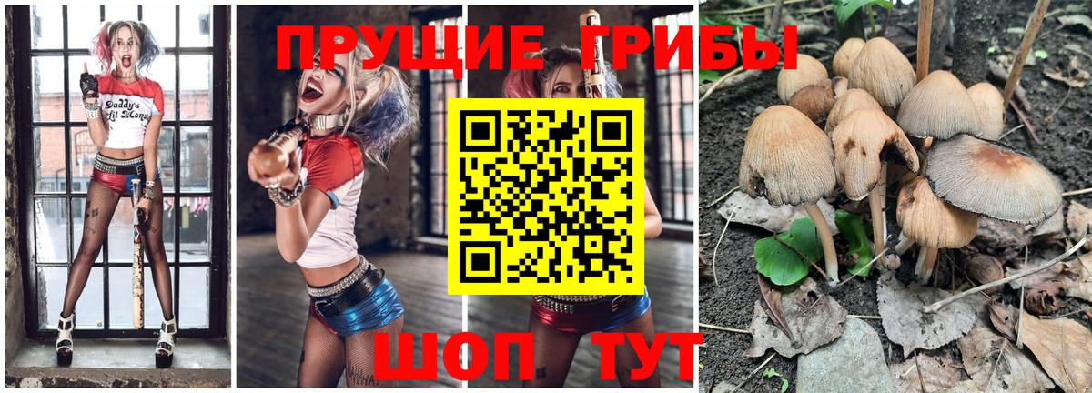 Псилоцибиновые грибы GOLDEN TEACHER  сколько стоит  Томск  Галлюциногенные грибы ЛСД  Вход с VPN 